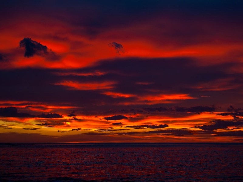 Poesía de resistencia: un recorrido literario por la realidad&nbsp;costarricense