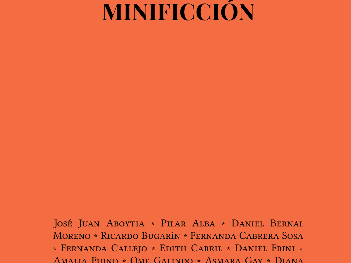 Dossier de Minificción