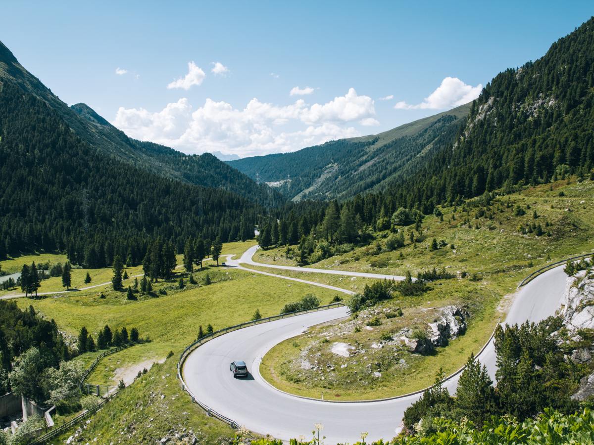 In memoriam a Franz Lee&nbsp;Breed