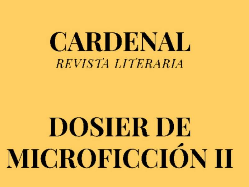 Dosier de Minificción&nbsp;II