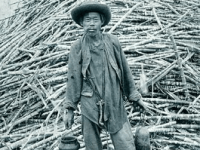  Cuento: Caleta Panteón, por Fernando March                                              