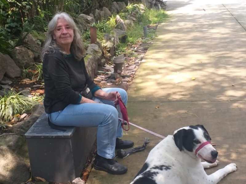 Pareja a la intemperie y otros poemas de Alicia García&nbsp;Bergua