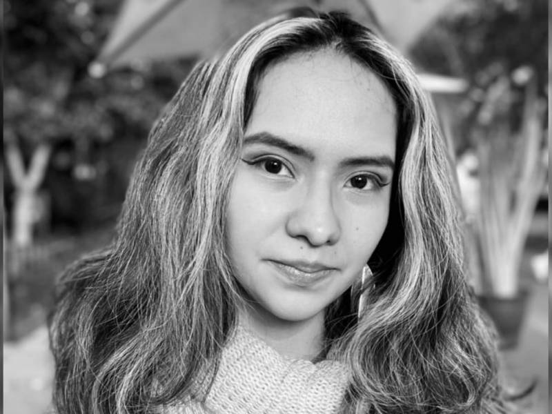 Platino amanecer y otros poemas de Araceli Amador&nbsp;Vázquez