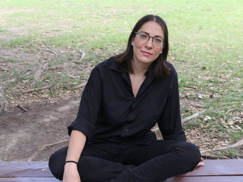 Poesía mexicana actual: Mariana Pérez&nbsp;Villoro